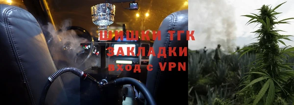 гидра Арсеньев