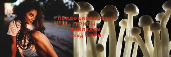 PSILOCYBIN Аркадак