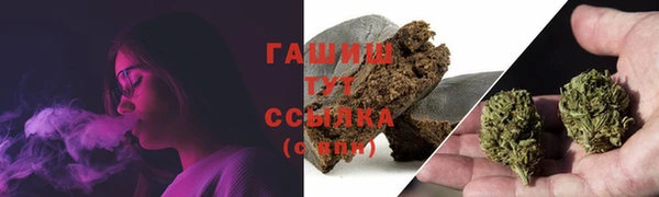 PSILOCYBIN Аркадак