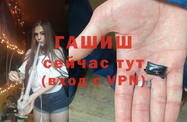 PSILOCYBIN Аркадак