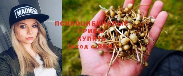 амф Баксан