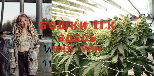PSILOCYBIN Аркадак