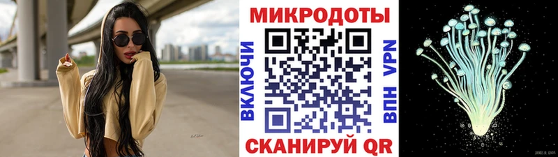 где купить наркоту  Фокино  Галлюциногенные грибы Cubensis 